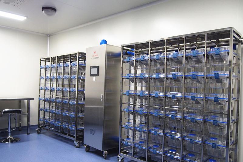 ���﷿��������